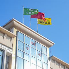 หนานทง Haoshun หล่อ Co., Ltd.